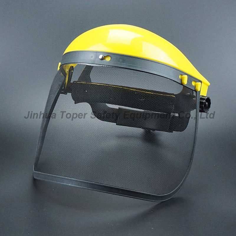 FS4014 (wire mesh visor)